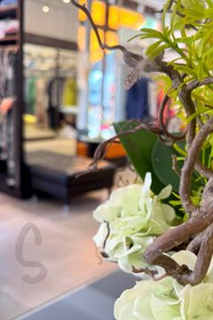 Geschäft Skoruppa Riemannstr. in Leipzig